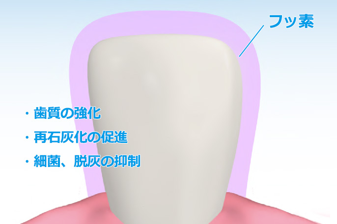 フッ素の効果